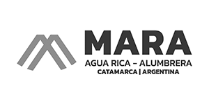 logo-8